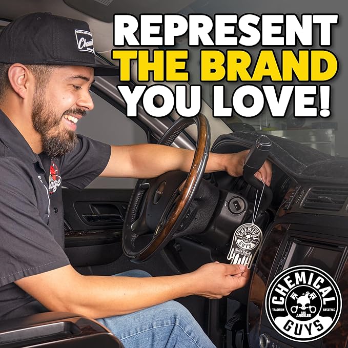 Chemical Guys Car Fresheners Hanging Air Freshener Black Frost Scent 12 Pack Great for Cars Trucks SUVs RVs Home Garage Workspace Dorm Room &amp More (4 x 3 Packs)