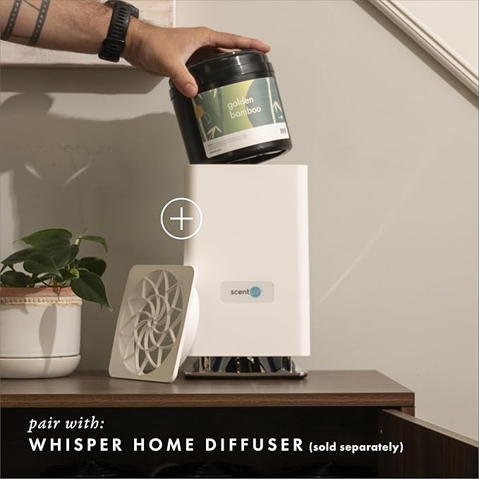 ScentAir Whisper Home Monthly Plug-in Refill Fragrance Cartridge for Home and Office Golden Bamboo