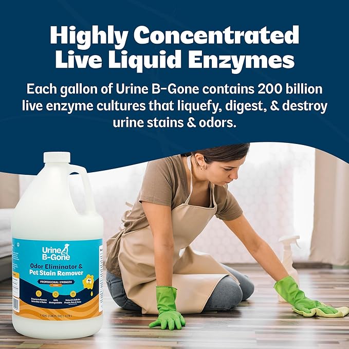 Urine B-Gone Professional Enzyme Odor Eliminator &amp Pet Stain Remover Human Cat &amp Dog Urine Cleaner Effective on Laundry Carpets &amp More Citrus Scent 1 Gallon