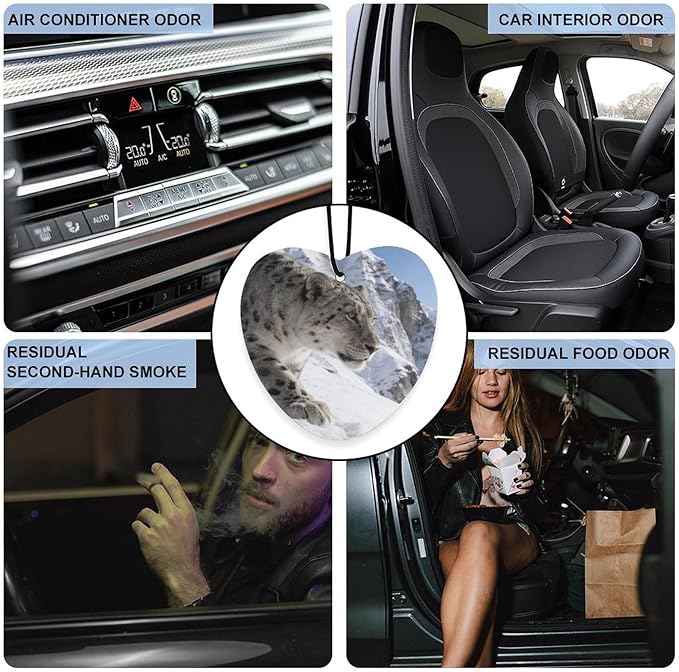 5PCS Car Air Freshener Hanging Personalized Double Sided Snow Mountains Car Fresheners Long Lasting New Cars Scents Cute Automotive Freshies for Closets Drawers (tea)