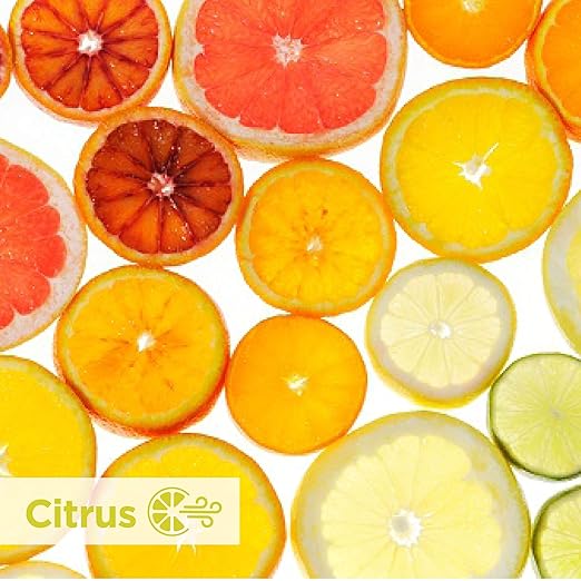 ActiveAire Powered Whole-Room Freshener Dispenser Refill by GP PRO (Georgia-Pacific) Citrus 48285 12 Cartridges Per Case