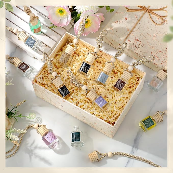 24 Pcs Employee Appreciation Gifts Bulk Car Air Freshener Diffuser Essential Oil Diffuser Office Gifts for Coworkers Staff Thank You Inspirational Teachers