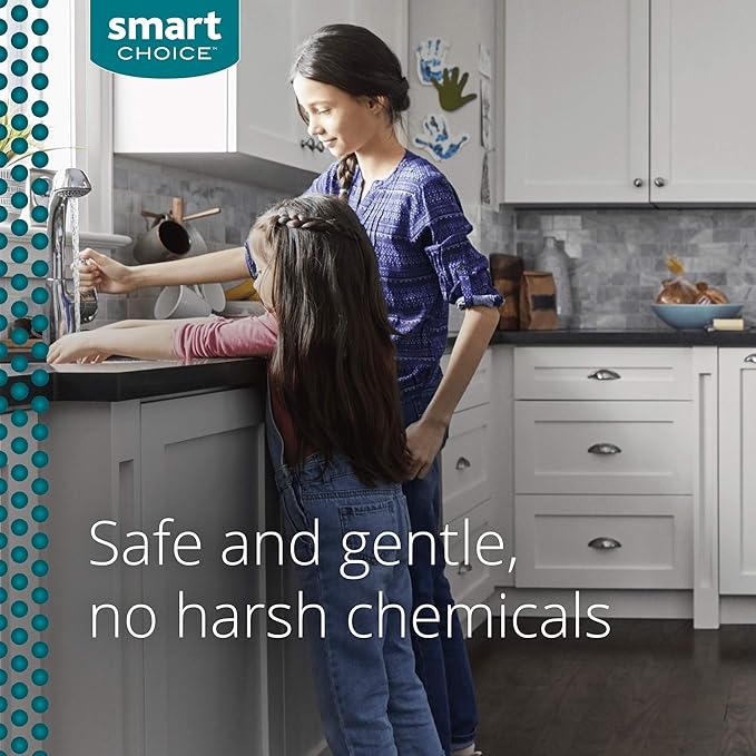 Smart Choice 10SCPROS02 Sink and Disposer Cleaner 6 Treatments