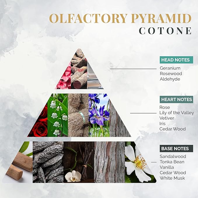 Logevy Firenze 1965 Cotone – Linen Fragrance Spray for Cotton Fabric from Master Perfumer in Italy with Floral &amp Woody Notes to Luxuriously freshen sheets cushions curtains clothing &amp more