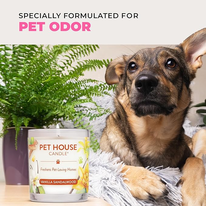 Pet House Candles Clean Burning Long Lasting Pet Odor Candles Plant-Based 60 Hour Burn Time - Tropical Fruit 9 oz 2 Pack