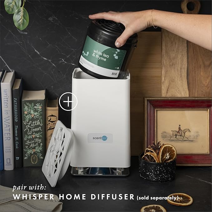 ScentAir Whisper Home Monthly Plug-in Refill Fragrance Cartridge for Home and Office White Tea &amp Thyme