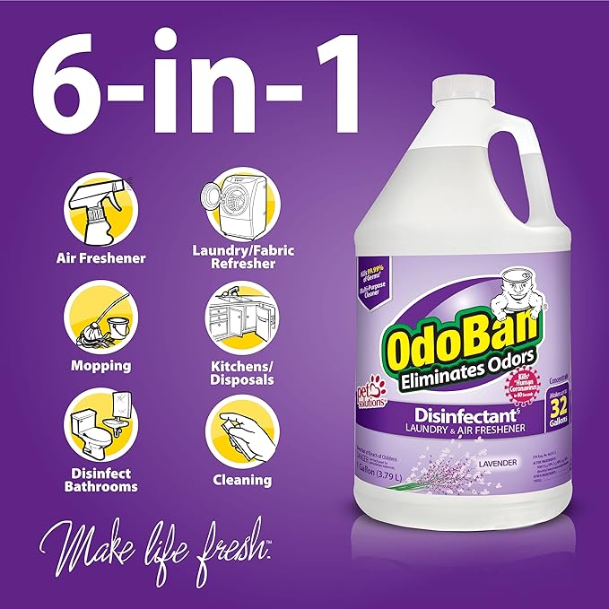 OdoBan Ready-to-Use Disinfectant and Odor Eliminator Made in the USA Lavender Scent Set of 2 32 oz Spray and 1 Gallon Concentrate