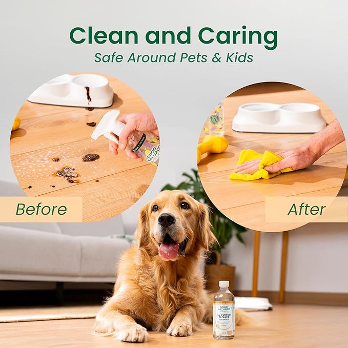 Good Natured Brand | Carpet Deodorizer 31 oz Orange &amp All-Purpose Cleaner Concentrate 8 oz Orange