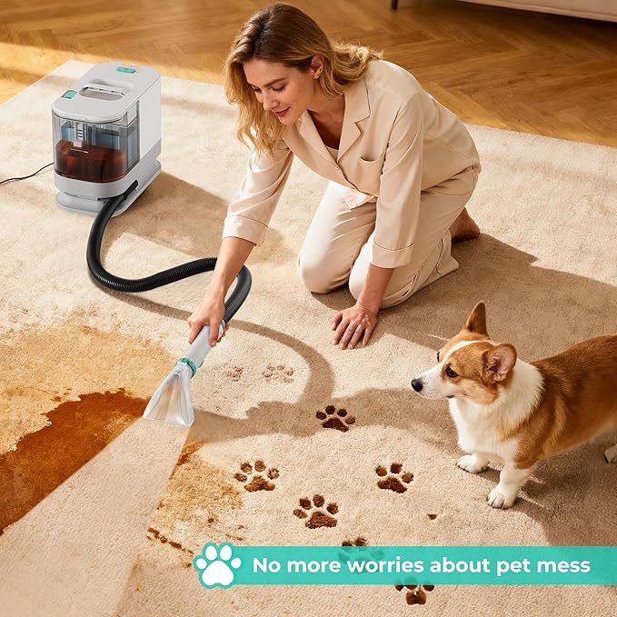 HAUSHOF Portable Carpet Spot and Upholstery Cleaner Machine 13Kpa Powerful Suction &amp Spot Remover Deep Stain Cleaning for Rug Carpet Car Seats Pets Stairs Couches with Cleaning Solution