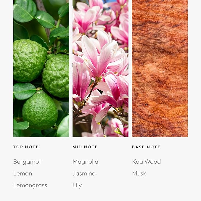 Aroma360-24K Magic Fragrance Oil Blend 50ML | Hotel Inspired Luxury Essential Oil Diffusers | Aromatherapy Scent Diffuser Oil | Citrus Beginning of Bergamot Lemon &amp Lemongrass with Notes of Jasmi