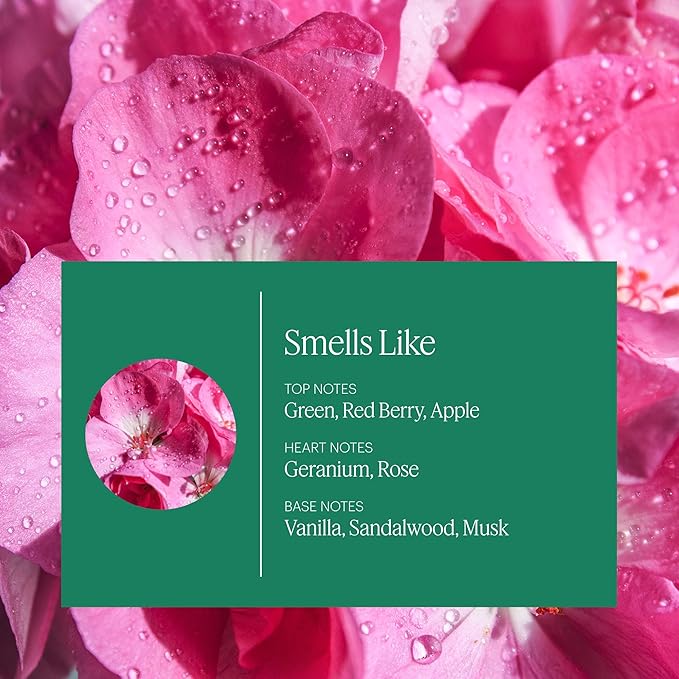 Aera Home Hygiene Geranium - Essential Oil for Home - Soft Pink Petal Fragrance - Notes of Geranium Palmarosa and Clove Essential Oils - Scent Refill - Capsule Size Works with Mini Diffuser