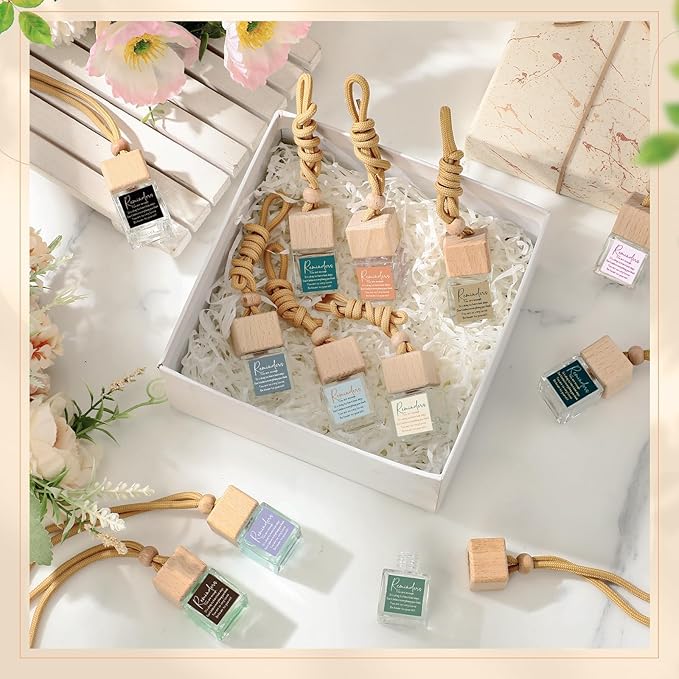 48 Pcs Employee Appreciation Gifts Bulk Car Air Freshener Diffuser Essential Oil Diffuser Office Gifts for Coworkers Staff Thank You Inspirational Teachers