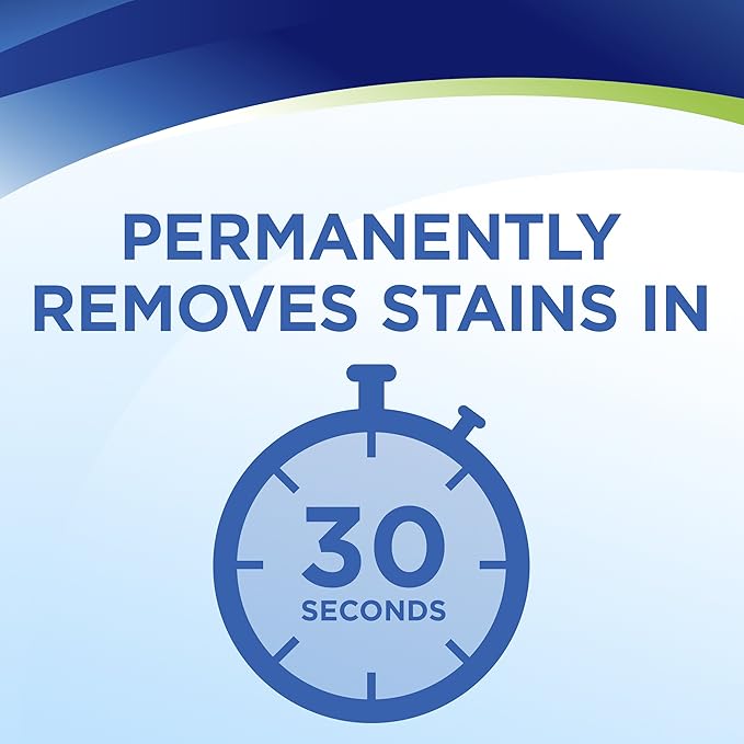 Woolite InstaClean Permanent Stain Remover 2 Pack 21799