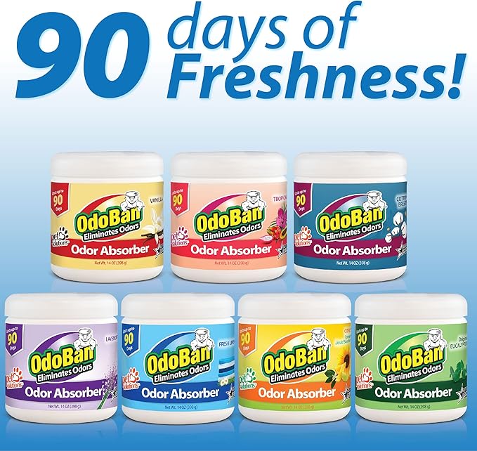 OdoBan Solid Odor Absorber Eliminator for Home and Small Spaces Citrus Scent 14 Ounces Each 6-Pack
