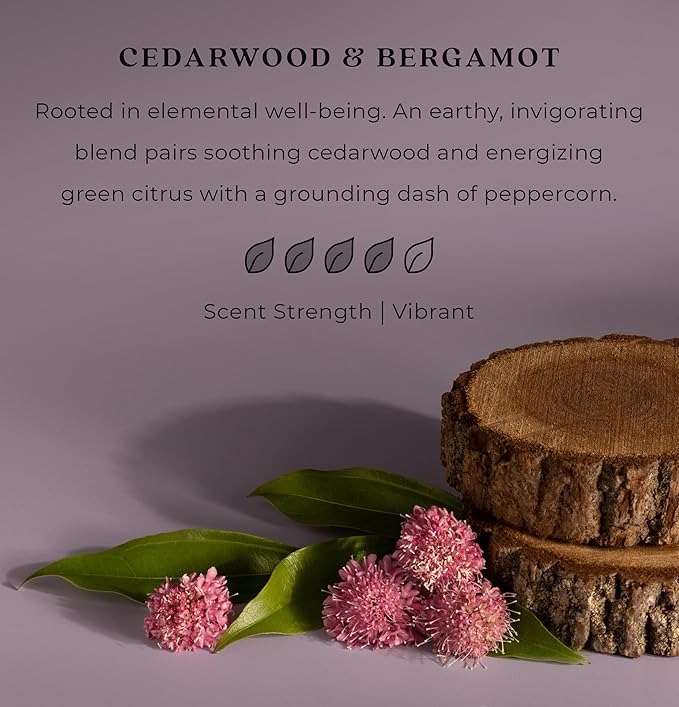 Enviroscent Non-Toxic Car Vent Clip | Single Use Car Air Freshener | Car Scent Lasting Over 30 Days Each 8 Count (Cedarwood &amp Bergamot)