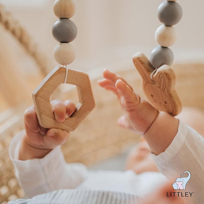 Littley Toy &amp Surface Cleaner | 8 oz | Alcohol-Free HOCl Spray for Baby Toys &amp High-Touch Surfaces | Fragrance-Free Formula | Gentle Cleaning for Everyday Messes