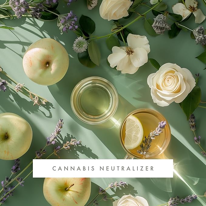 ScentAir Whisper Home Monthly Plug-in Refill Fragrance Cartridge for Home and Office Cannabis Neutralizer