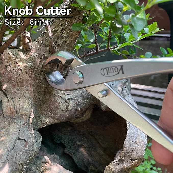 6-Piece Bonsai Tool SetConcave CutterKnob CutterJin PliersWire CutterBonsai Scissors Root Hook