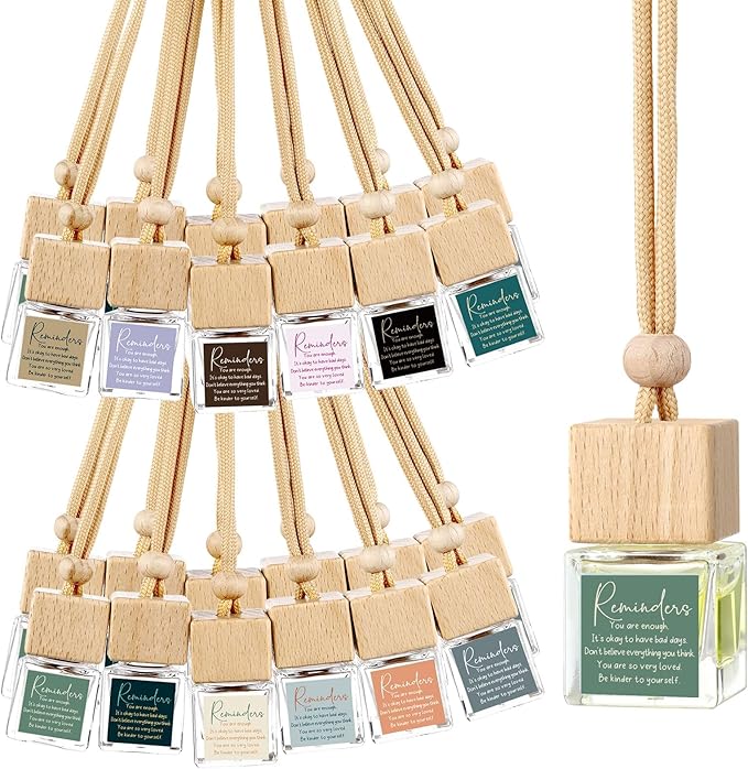 48 Pcs Employee Appreciation Gifts Bulk Car Air Freshener Diffuser Essential Oil Diffuser Office Gifts for Coworkers Staff Thank You Inspirational Teachers