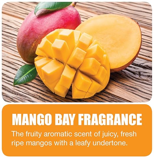 Big D 191 The P.O.D. Passive Odor Dispenser Refill Mango Bay Fragrance Red-Orange (Pack of 24) - Lasts up to 45 days - Air freshener ideal for restrooms cars boats closets small confined areas