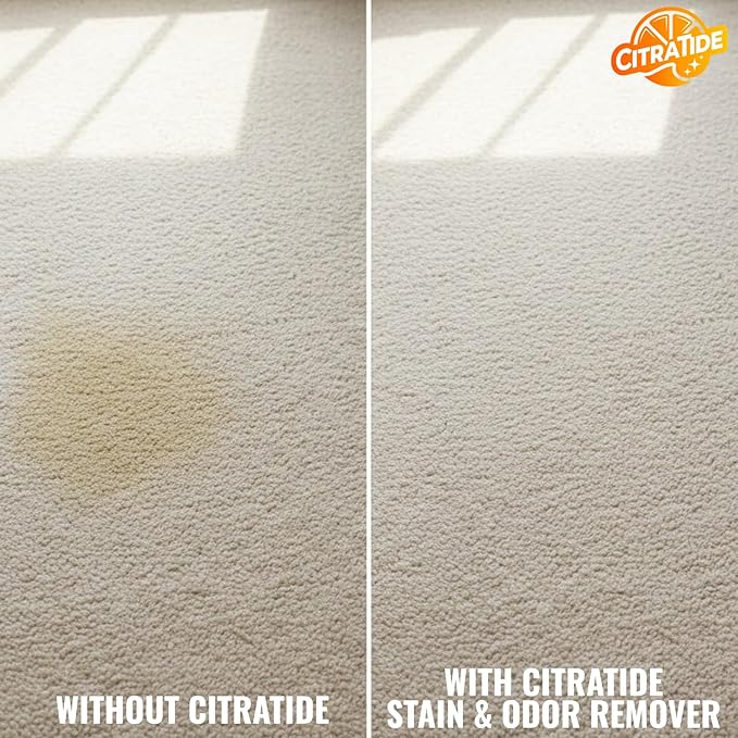 Stain &amp Odor Remover Concentrate (16 fl oz) – Citrus Powered Enzymatic Cleaner – Plant-Based Pet Safe Formula for Carpets Upholstery Hard Floors &amp More – USA Made Eco-Friendly Non-Toxic