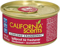 California Scents Can/Hidden Air Freshener (Monterey Vanilla Scent 1 Pack)