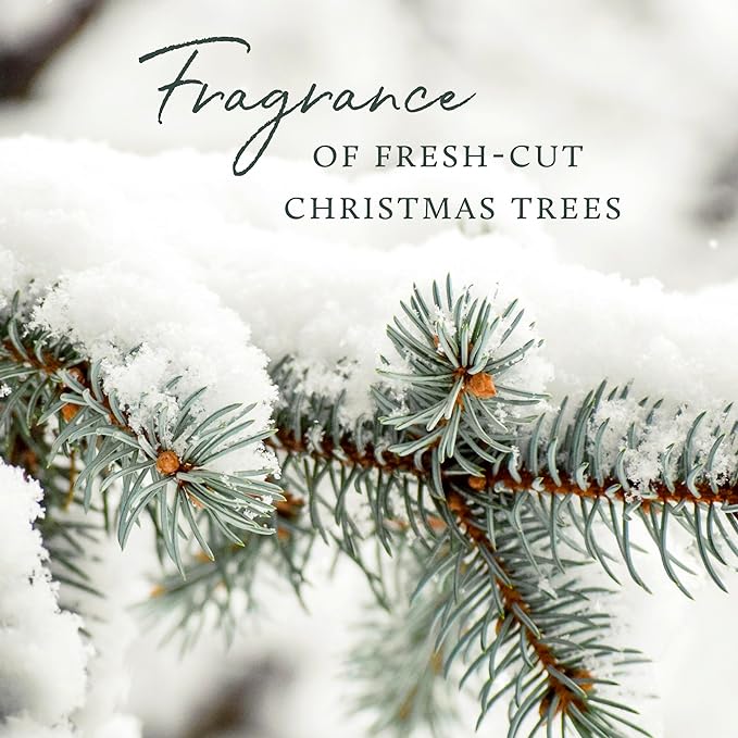 Thymes Home Fragrance Mist – Room Air Fresheners for Home Long Lasting – Air Freshener Spray – Pine Room Spray with Notes of Crisp Siberian Fir Needles Cedarwood &amp Sandalwood (Frasier Fir 3 oz)
