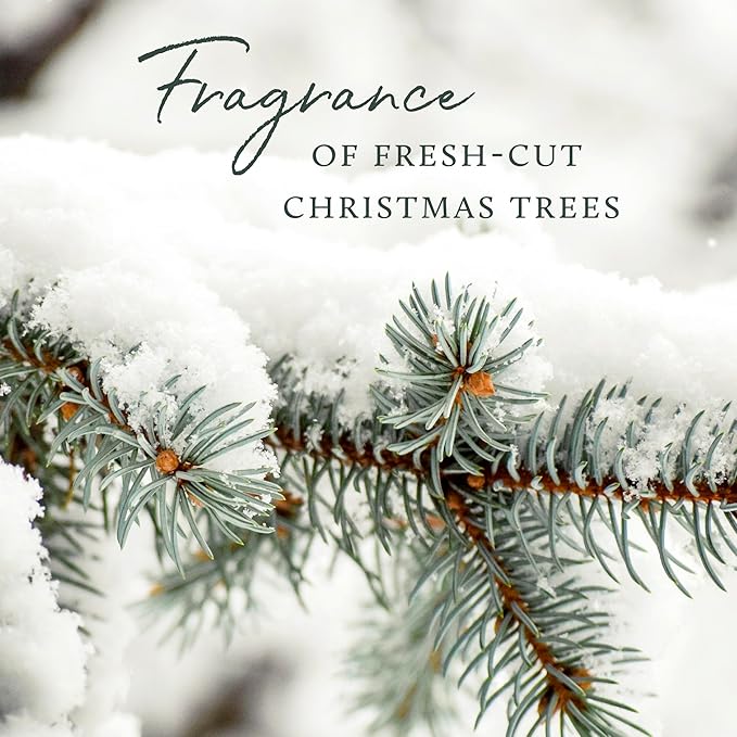 Thymes Frasier Fir Candle – Pine Needle Design – Holiday Scented Candle – Notes of Crisp Siberian Fir Cedarwood &amp Sandalwood – Luxury Home Fragrance Gifts for Women &amp Men – Gold (Gilded 6.5