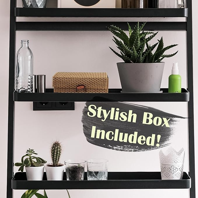 BambooMN Granulated Bamboo Charcoal Odor Absorber Bag in Decorative 4 Green and Brown Box 4 Sets