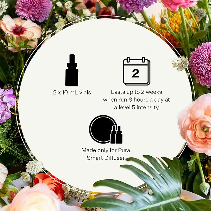 Pura Smart Home Plug-in Diffuser Refills by Apotheke (Charcoal 2-Pack) - Pura Fragrance Refills - Long-Lasting Aromatherapy Air Freshener Fragrance Products with Perfume-Grade Essential Oils