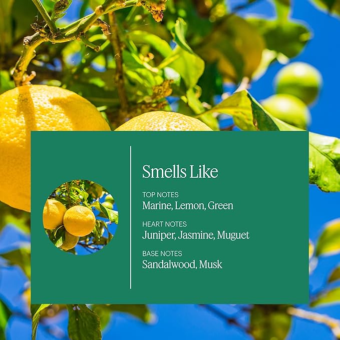 Aera Mini Home Hygiene Linen and Lemon - Essential Oil for Home – Citrus and Clean Laundry Fragrance - Notes of Lemon Peel Copaiba and Pine - Scent Refill - Capsule Size Works with Mini Diffuser