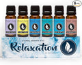 Eternal Essence Oils Relaxation Set of 6 Premium Fragrance Oils - Includes Lavender Chamomile Ylang Ylang Mountain Rain Ocean Breeze Eucalyptus and Sandalwood Scented Oils - 10ML