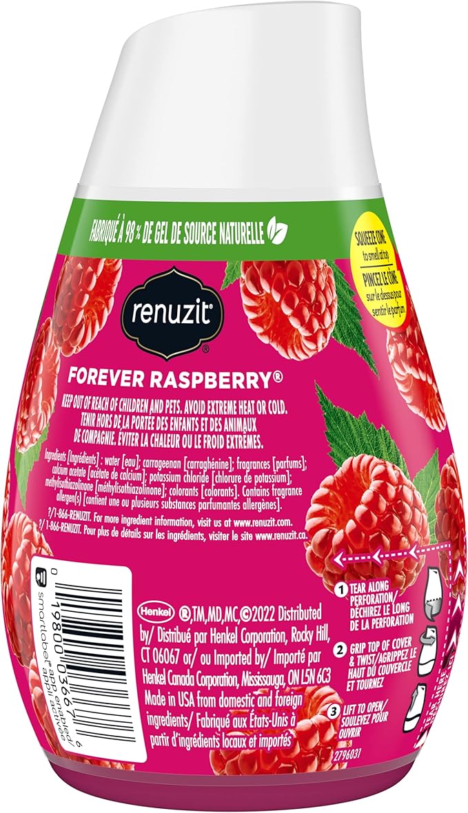 Renuzit Gel Air Freshener Forever Raspberry 12 Count