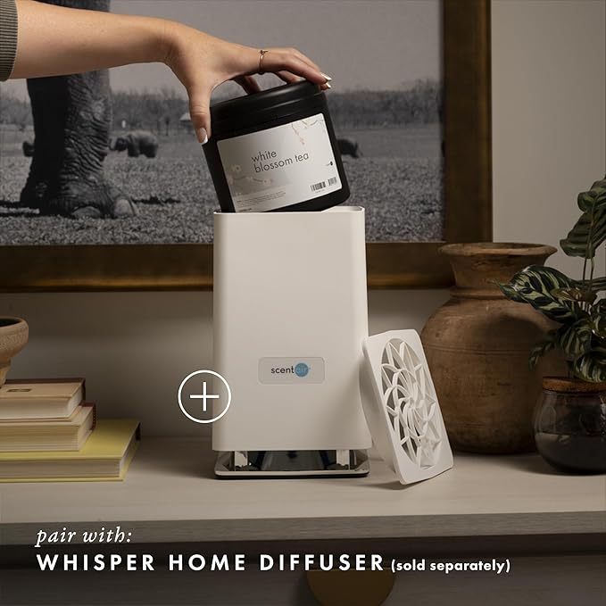 ScentAir Whisper Home Monthly Plug-in Refill Fragrance Cartridge for Home and Office White Blossom Tea
