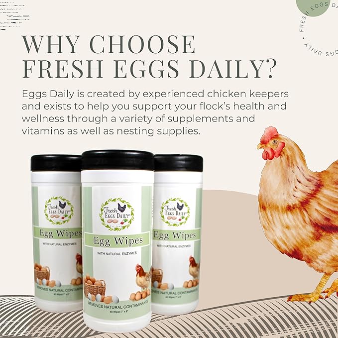Fresh Eggs Daily Egg Wipes – Enzyme-Based Egg Cleaner for Backyard Chickens No Rinse Needed Natural Enzyme Formula - Natural Cleaning Wipes (2-Pack)