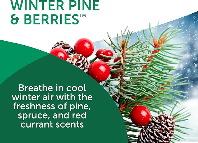 Bright Air 14 oz. Super Odor Eliminator For Medium-Size Spaces Winter Pine &amp Berries Scent Case of 6 Odor Eliminator &amp Air Freshener Natural Essential Oils Lasts Up to 90 Days Each