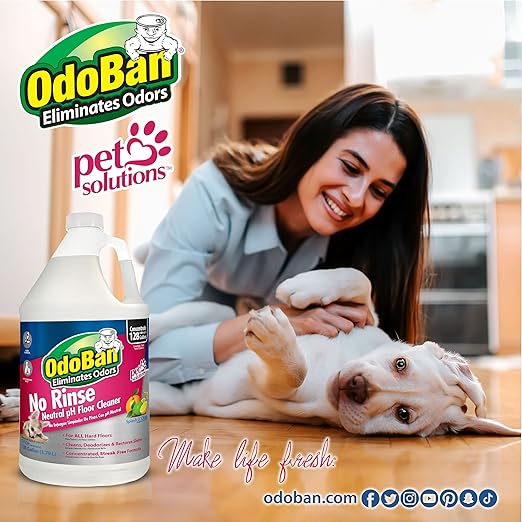 OdoBan Pet Solutions No Rinse Neutral pH Floor Cleaner Concentrate 3 Gallons Splash O' Citrus Scent