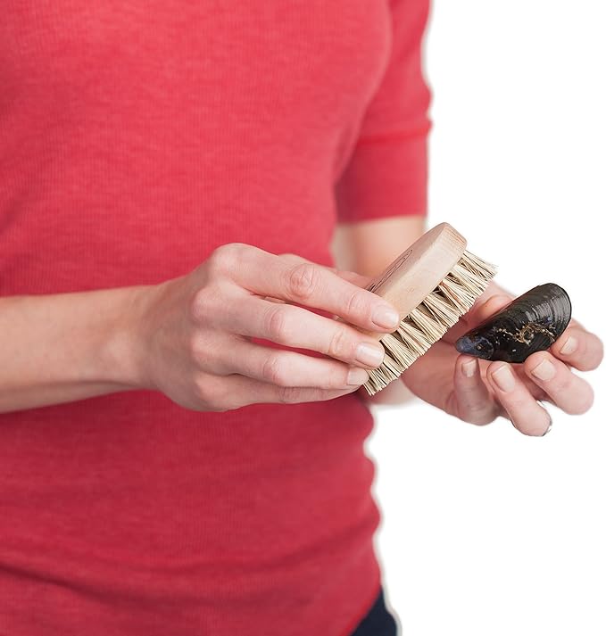 REDECKER Mussel Brush with Beechwood Handle 3-3/4-Inches Set of 2 - Brush for Scrubbing Mussels