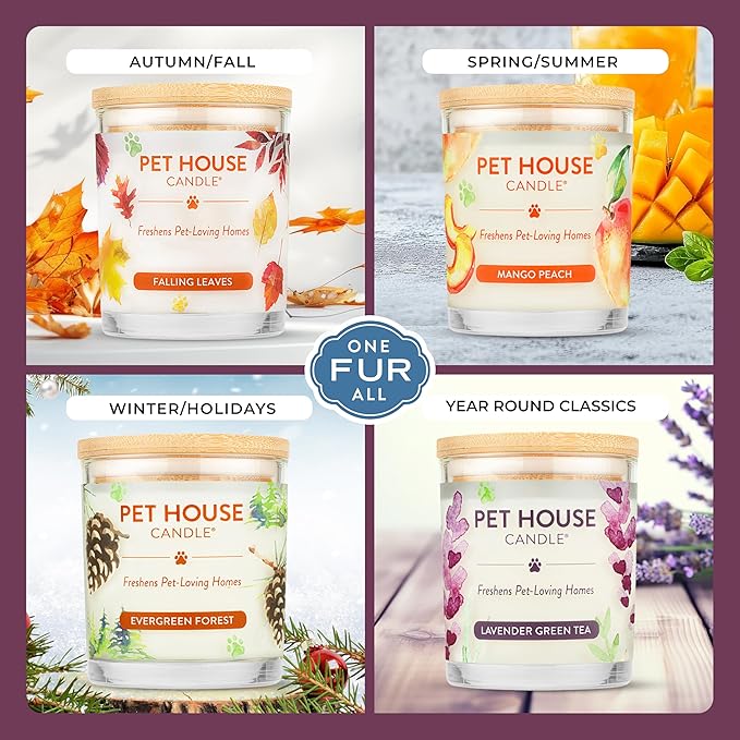Pet House Candles Scented Pet Friendly Candles Clean Burning Plant-Based with a Natural Fiber Wick - BlackBerry Tea 9 oz 2 Pack