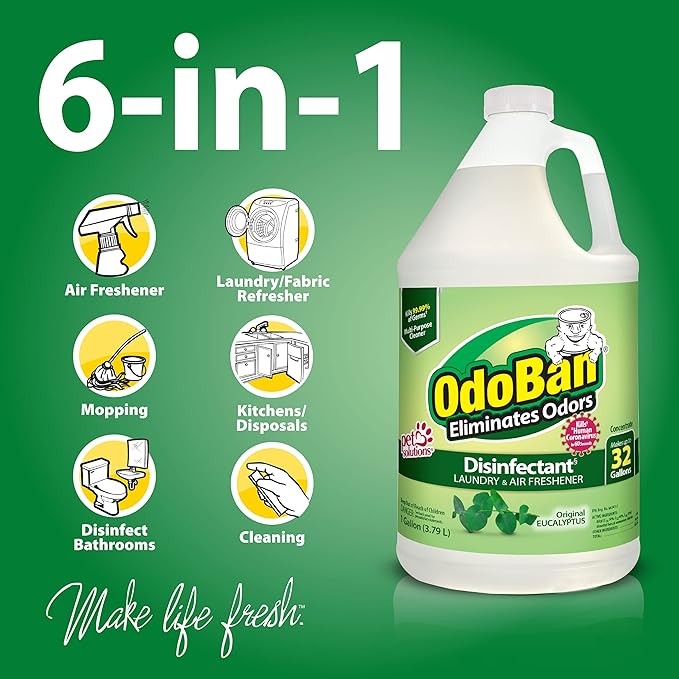 OdoBan Ready-to-Use Disinfectant and Odor Eliminator Made in the USA Original Eucalyptus Scent Set of 2 32 oz Spray and 1 Gallon Concentrate