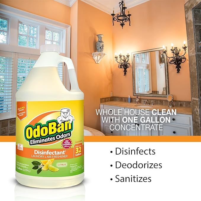 OdoBan Aroma Eliminator Set Made in the USA 10 Ounce 360-Degree Continuous Spray Natural Oil Real Citrus Air Freshener and 1 Gallon Multipurpose Disinfectant Cleaning Concentrate Orange Scent