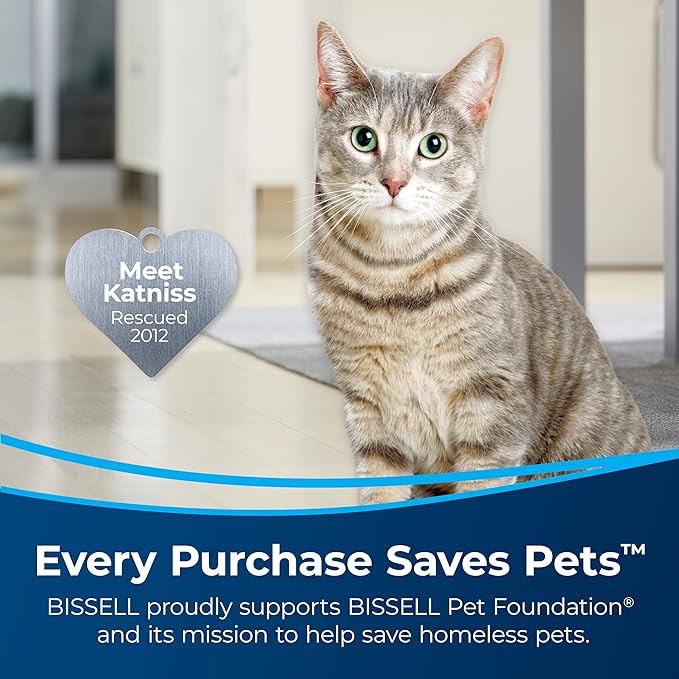 Bissell Pet Stain &amp Odor plus Antibacterial 2 in 1 Carpet Formula(Pack of 2)
