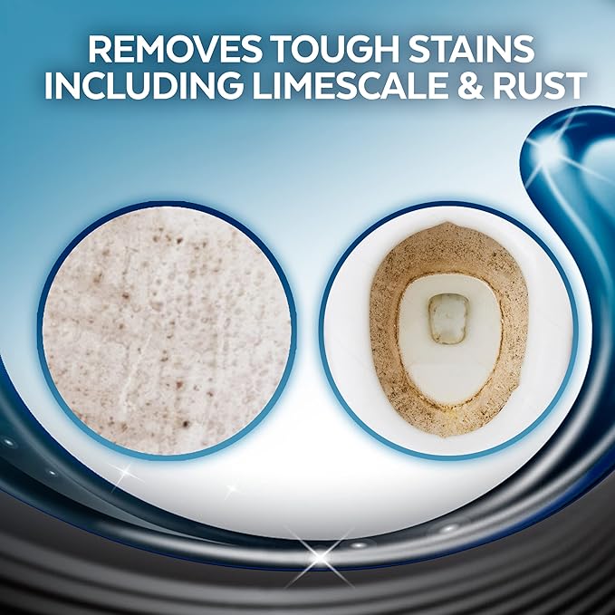 Lysol Lime &amp Rust Toilet Bowl Cleaner Gel For Cleaning and Disinfecting Destroys Stains including those from Hard Water and Rust 24oz (Pack of 9)