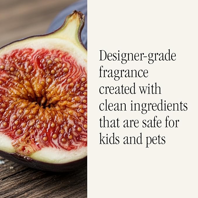 Pura x Studio McGee Home Scent Refill - Smart Air Diffuser - Up to 120-Hours of Luxury Fragrance per Refill - Home Essential - Clean &amp Safe Diffuser Fragrance - 2 Pack Violet Fig