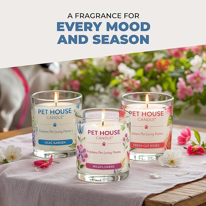 Pet House Candles Clean Long-Burning Scented Pet Friendly Candles Plant-Based 60 Hour Burn Time - Ocean Driftwood 9 oz