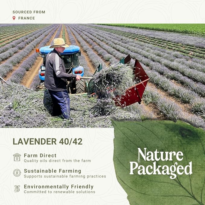 Lavender 40/42 Essential Oil Direct from France - Essential Oil for Candle Making and Soaps - Pure Lavender 40/42 Oil for Aromatherapy Skincare Haircare Perfumes (8oz)