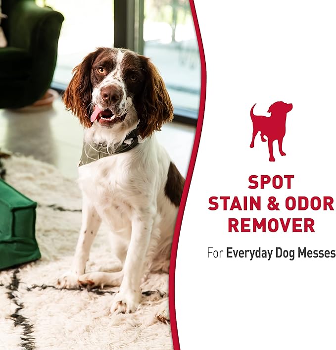 Nature's Miracle Dog Stain and Odor Remover Everyday Mess Enzymatic Formula Melon Burst Scent 32 oz