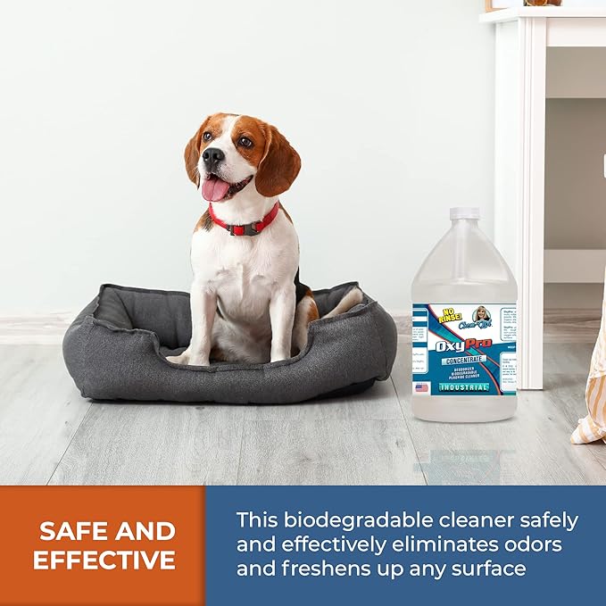 Chem-Girl OxyPro Concentrated Multi-Purpose Surface Cleaner to the Rescue - Chlorine-Free Oxygen-Powered Stain &amp Odor Remover 5 Percent Hydrogen Peroxide (H2O2) 1-Gallon 2-Pack