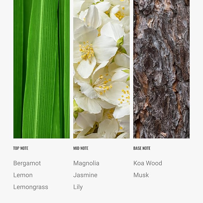 Hotel Collection Diffuser Oil - 24K Magic - Aromatherapy Essential Fragrance Oil - Citrus Lemongrass and Jasmine - 120mL 4.1 Fl oz