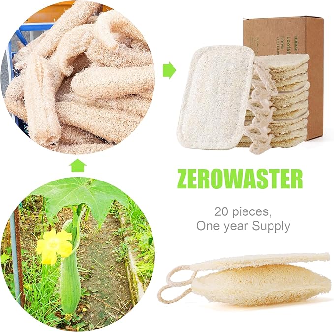 Natural Loofah Kitchen Sponges 20 PCS Natural Sponge for Dishes Cleaning 100% Biodegradable Compostable Vegetable Eco Friendly Sponges Non-Scratch No Odor Scrubber